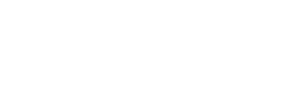 Agencia de viajes para mascotas