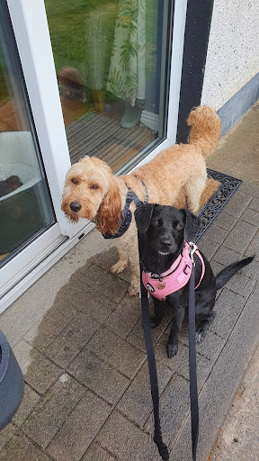 Photo from customer review