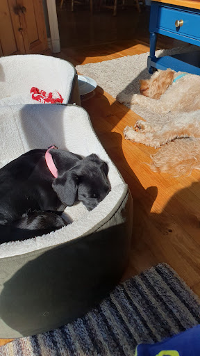 Photo from customer review