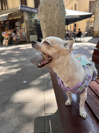 Photo from customer review