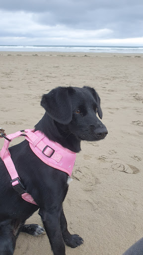 Photo from customer review