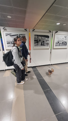 Photo from customer review