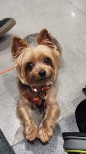 Photo from customer review