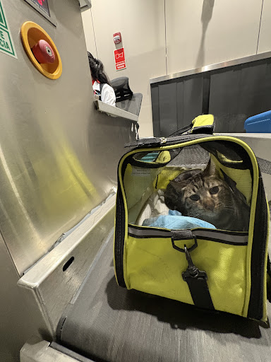 Photo from customer review