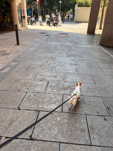 Photo from customer review