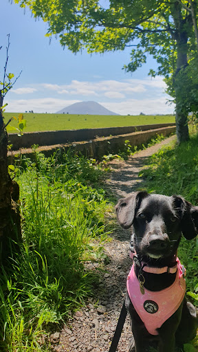 Photo from customer review