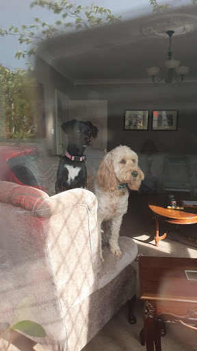 Photo from customer review