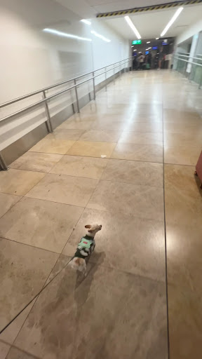 Photo from customer review